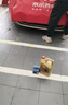 嘉实多（Castrol）极护智E版单次小保养卡5W-30 SP 4L 含机油+机滤+工时 汽车保养 实拍图
