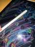 Apple/苹果 Pencil(USB-C) 磁吸触控笔手写笔苹果笔电容笔ipad笔 适用iPad 11/mini/Pro/Air 实拍图