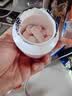康恩贝儿童学生维生素c咀嚼片60片草莓味vc片4岁-17岁及成人孕妇乳母 实拍图