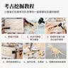 SEMALAM恐龙化石儿童考古挖掘玩具寻宝骨架石膏男孩盲盒幼儿园小礼物批发 霸王龙 实拍图