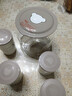 小熊（Bear）酸奶机 家用全自动希腊酸奶奶酪米酒机酸奶发酵菌玻璃内胆陶瓷分杯 SNJ-C10V3 实拍图