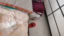 ANKER安克20W氮化镓充电器套装 适用苹果iphone16promax15华为小米含type-c快充数据线0.9米白 实拍图