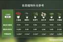 萌优优 植物花盆创意肉肉简约陶瓷多肉小花盆套装(不含绿植) 7盆+托盘 实拍图