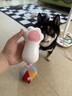 HELLOJOY宠物洗澡刷子猫咪狗狗搓澡神器硅胶按摩泰迪金毛沐浴清洁工具用品 实拍图