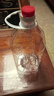 5L10斤20斤装油壶装酒豆油桶塑料桶装白酒空酒瓶装酒散酒瓶空油桶 2.5升/5斤 3个 实拍图