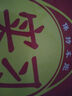 实习车贴新手上路磁吸反光贴汽车的标志牌车辆统一标准小车用粘贴 交管所标准【1片磁吸式】 实拍图