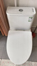 九牧（JOMOO）11173-2-1/41KD-3大力神普通马桶家用虹吸抗菌节水坐便器400坑距 实拍图