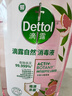 滴露（Dettol）衣物消毒液自然香氛洗衣除菌液 除螨除异味去汗臭48H留香1000ml*1 实拍图