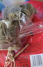 五芳斋 速冻蛋黄猪肉粽 100g*5只 嘉兴粽子蛋黄肉粽端午粽子早餐食品 实拍图