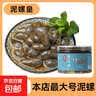 京喜加京喜加泥螺醉泥螺即食生腌宁波大号无沙腌制海鲜舟山特产黄泥螺 【特大】泥螺皇净重 500g 易拉罐 实拍图