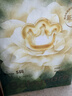 babycare金山茶花纸尿裤S58片(4-8kg)新生儿婴儿尿不湿超薄透气轻柔花苞裤 实拍图
