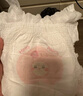 好奇（Huggies）铂金装小桃裤成长裤XXL74片(15kg以上)尿不湿【透爽散热】 实拍图