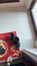 李宁越影 ELEMENT丨跑步鞋男鞋网面夏季透气减震轻盈运动鞋ARHT047 实拍图
