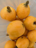 江中 利活 乳酸菌素片32片*5盒益生菌成人儿童用 益生元调理肠胃肠道便秘通便腹泻拉肚子消化不良肠胀气肠炎 实拍图