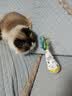 HELLOJOY猫咪不倒翁玩具羽毛逗猫棒球猫消耗体力自嗨解闷神器猫咪用品 实拍图