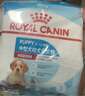 皇家MEJ32 2至12月龄中型犬幼犬狗粮 50g*3 实拍图