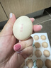 京鲜生鲜鸡蛋20枚/盒 健康轻食 营养健康 2斤/盒 源头直发  实拍图