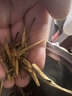 恬和红茶滇红茶滇红金针 新茶特级凤庆蜜香耐泡茶叶250克 实拍图