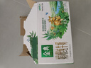 伊利【新鲜日期】金典双限定娟姗纯牛奶锡林郭勒牧场250ml*12 3-4月 实拍图