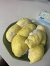 骆驼（CAMEL）金山户外登山免系网面休闲徒步鞋情侣男 G16MX48044 松叶绿 42 实拍图