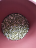 田园梦国补补贴生豆芽机家用全自动紫砂豆芽罐豆芽发芽神器食品级发花生 【加热款】大号紫砂+加热底座 实拍图