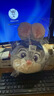迪士尼（Disney）疯狂动物城2朱迪斜挎包可爱毛绒玩偶斜挎包生日520礼物送男女生 实拍图