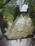 babycare金山茶花纸尿裤S58片(4-8kg)新生儿婴儿尿不湿超薄透气轻柔花苞裤 实拍图