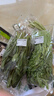 大菠菜300g 实拍图