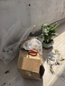 花翁大盆三杆发财树盆栽招财绿植办公室内开业中式盆景金钱树源头直发 实拍图