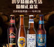 青岛啤酒（TsingTao）精酿330ml*8瓶礼盒（黑啤*2+白啤*2+IPA*2+皮尔森*2）七夕送礼 实拍图