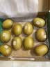 佳沛（zespri）新西兰阳光金奇异果10粒巨大果单果146-175g 猕猴桃水果礼盒 实拍图