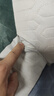 京严靠枕靠垫床头床上靠背垫软包床头靠抱枕宿舍靠枕沙发床靠垫 哈士奇【可拆卸靠背垫+枕头】 含枕芯 超大号【超软靠背+冰丝乳胶】 实拍图