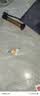 尊诺足球4号儿童成人中考标准世界杯比赛训练5号青少年小学生专用球 4号高端款黑白【大礼包】 实拍图