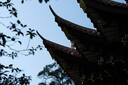 适马（SIGMA）56mm F1.4 DC DN｜Contemporary 半画幅大光圈定焦镜头 人像特写（适马56 f1.4索尼E卡口） 实拍图