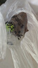 麦富迪狗粮 藻趣儿狗粮成犬粮牛肉螺旋藻 均衡营养15kg/30斤 实拍图