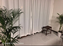 植男植女散尾葵绿植客厅大盆栽落地发财树办公室高级感送货到家 实拍图