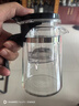 飘逸壶泡茶壶耐热高温玻璃沏茶过滤内胆冲茶器家用茶具套装 飘逸杯500mL1个 实拍图