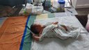 babycare金山茶花婴儿纸尿裤mini装NB34片(<5kg)新生儿尿不湿【新老混发】 实拍图