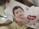 好奇（Huggies）铂金装小桃裤成长裤XXL74片(15kg以上)尿不湿【透爽散热】 实拍图