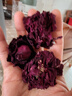 陈一凡 玫瑰花茶100g 墨红玫瑰特级大朵云南重瓣玫瑰花冠干玫瑰袋装 实拍图