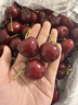 柳丝木（Ositree）水感柔护物理防晒霜乳清爽高倍SPF50+防水防汗防紫外线礼物 60g 实拍图