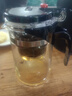 飘逸壶泡茶壶耐热高温玻璃沏茶过滤内胆冲茶器家用茶具套装 飘逸杯500mL1个 实拍图