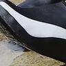 李宁沙滩鞋游泳鞋男女潜水赶海浮潜防滑鞋袜速干漂流游泳装备 实拍图