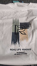 JEANSWEST LIFE真维斯纯棉长袖t恤男重磅亲肤圆领内搭潮牌外穿衣服青少年打底衫A 实拍图