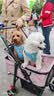 HOUYA宠物推车可折叠中小型犬猫咪狗狗轻便外出手推代步车 实拍图
