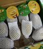 佳沛（zespri）新西兰阳光金果10个装单果重约103-114g 水果礼盒 猕猴桃 实拍图