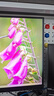 泰坦军团 27英寸 2K 升级235Hz HDR500nit高亮版 硬件低蓝光 专业电竞调校 出厂校色 三角洲显示器P2710R2+ 实拍图