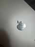 Apple/苹果 iPad mini (A17 Pro) 8.3英寸 平板电脑(256G WLAN版/mini7/MXND3CH/A)星光色 实拍图