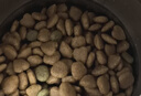 麦富迪狗粮 藻趣儿狗粮幼犬粮牛肉螺旋藻 呵护肠胃2.5kg 实拍图