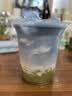 同仁堂品牌 北京同仁堂蝶豆花50g蓝蝴蝶食用花草茶养生茶泡水滋补礼品 实拍图